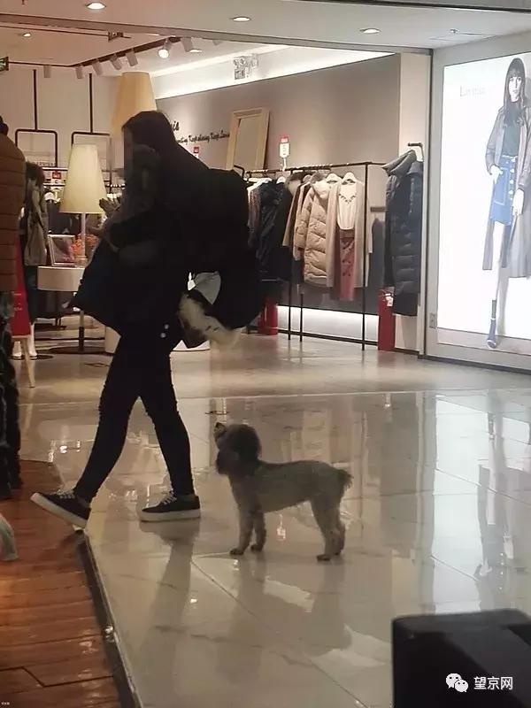 简直了！在望京这样遛狗，你还有理了？