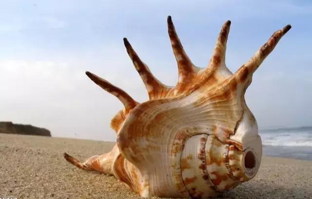 再挑剔的海岛控,也能被长滩岛“治”好!