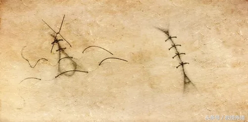 猪手术缝针打结方法,猪缝合手术全过程