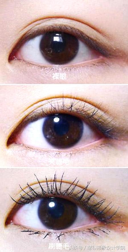 夹睫毛正确方式,睫毛夹的正确方法