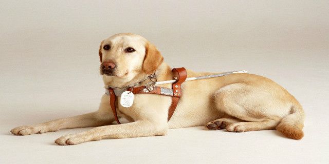 警惕这8种人群不适合坐飞机,现在坐飞机都注意啥事项