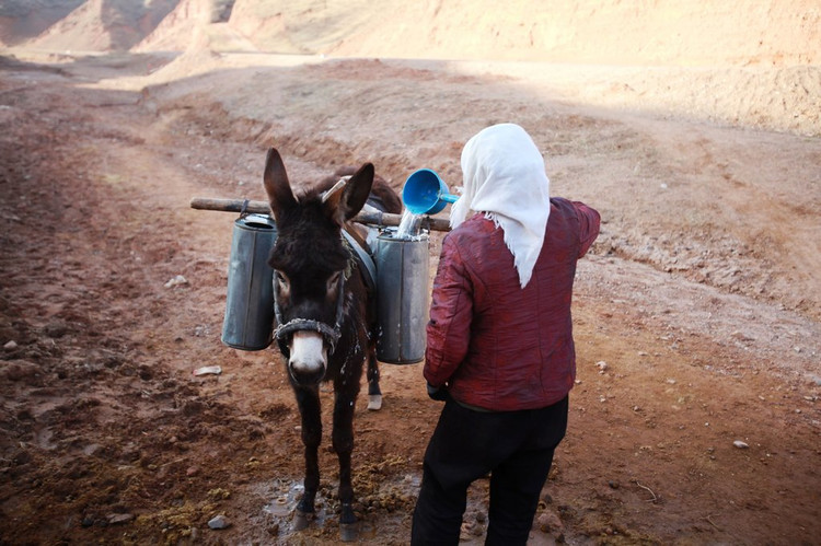 这个村庄吃水就这一口小泉眼，每天靠毛驴驮水使用