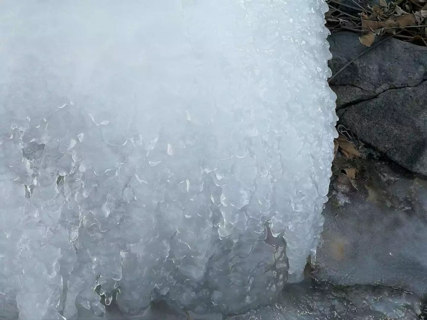 柳沟豆腐宴几个人最划算,柳沟豆腐宴几号最好吃