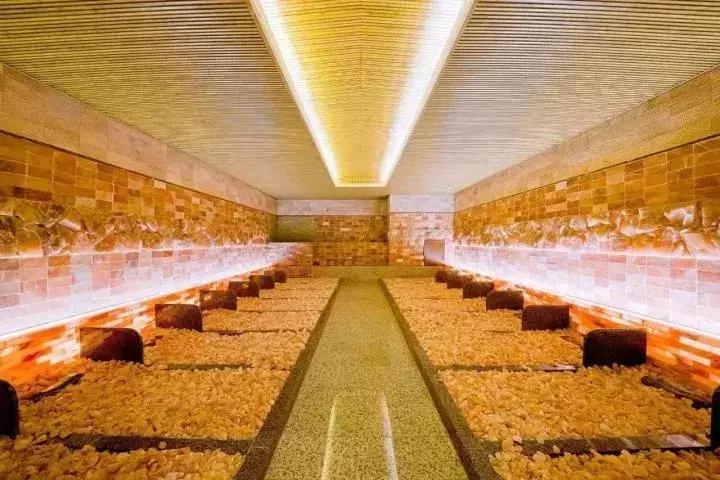 魔都温泉摘草莓,魔都温泉一日游攻略