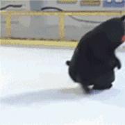 魔都温泉摘草莓,魔都温泉一日游攻略