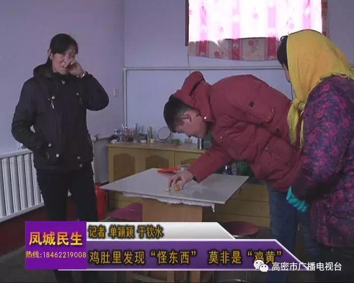 奇事｜一高密人在鸡肚子里发现个怪东西，快来看看你认不认识！