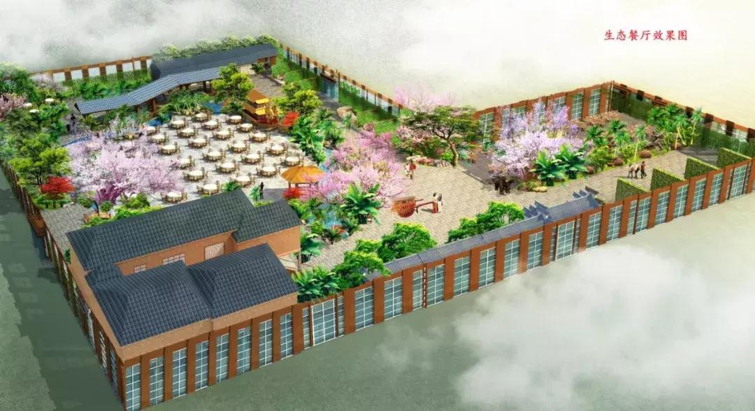 渭南葡萄园景区,渭南葡萄产业园观光游