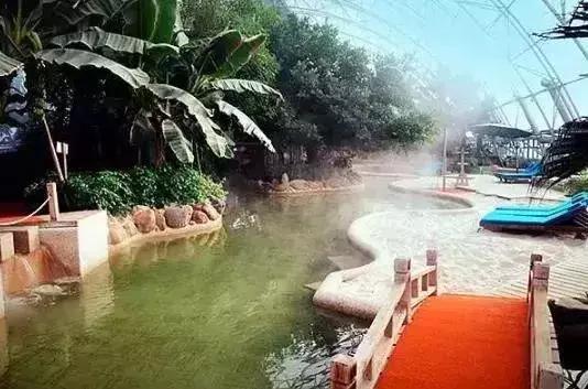 魔都温泉摘草莓,魔都温泉一日游攻略