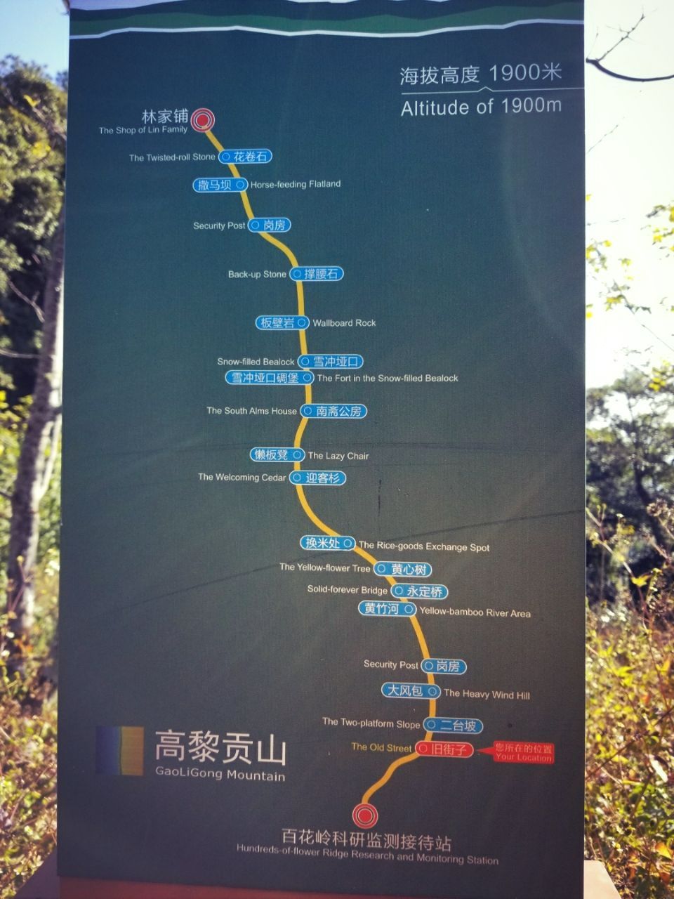 去云南适合买什么茶,云南最有名的咖啡在哪里