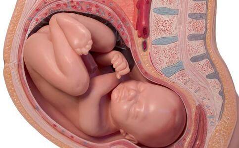 22周胎儿脚在宫颈口,18周胎儿的脚在宫颈口