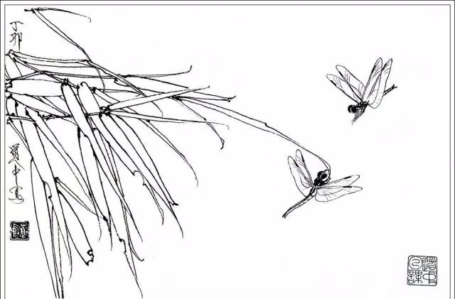 白描花卉技法基础入门,白描花卉简单入门