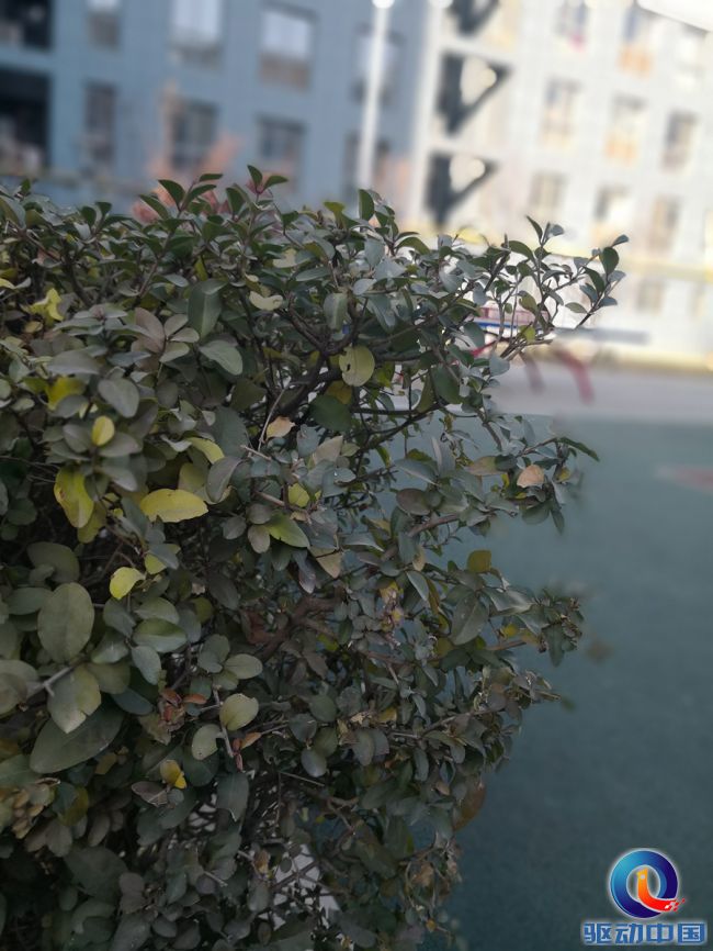 AI手机到底强在哪？华为Mate10之麒麟970芯片深度评测