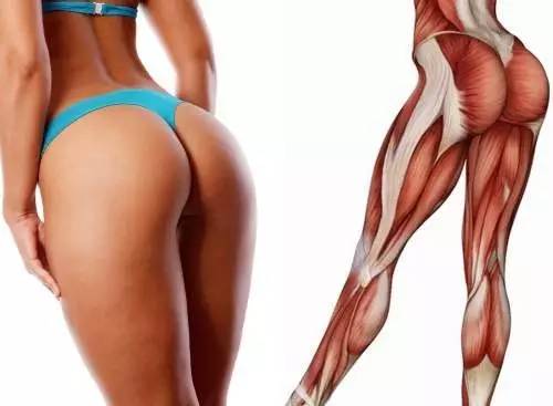 深蹲，让男人更强劲有力，让女人更性感多姿！