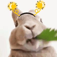 美妆推荐平价又好用的隔离霜,妆前必备的隔离霜美白保湿不浮粉