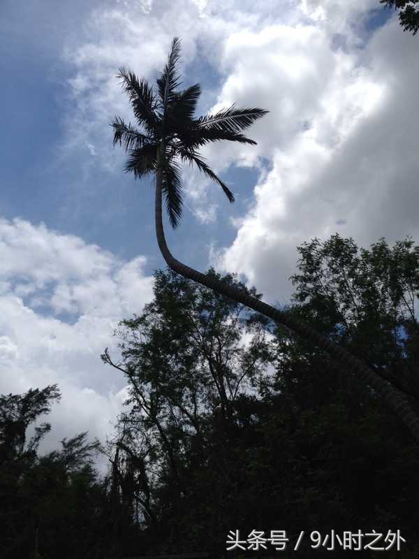 湛江空气质量全国排名,中国大陆最南端在湛江哪个镇