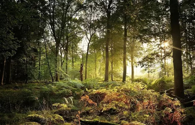 哪个地方可以玩星球大战,星球大战旅游地点大全