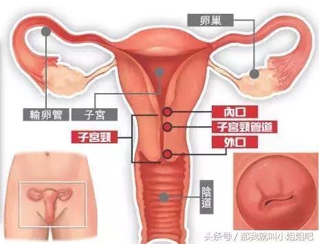 明明怀孕了,子宫里却是空的,为什么会这样?孩子去哪儿了?