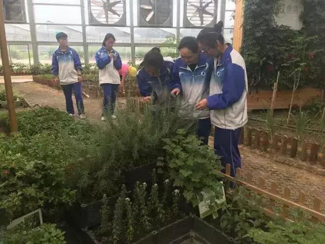 青岛崂山二中怎么样,崂山第二中学