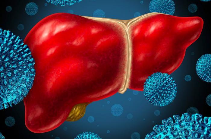 乙肝病毒dna定量变化与什么有关,得了乙肝病毒需要注意什么