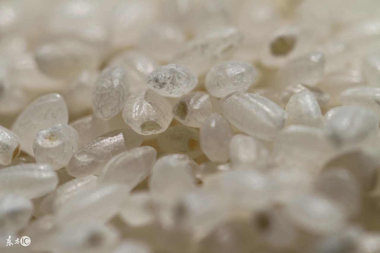 人工合成的大米是真的吗,塑料人造大米是真的吗