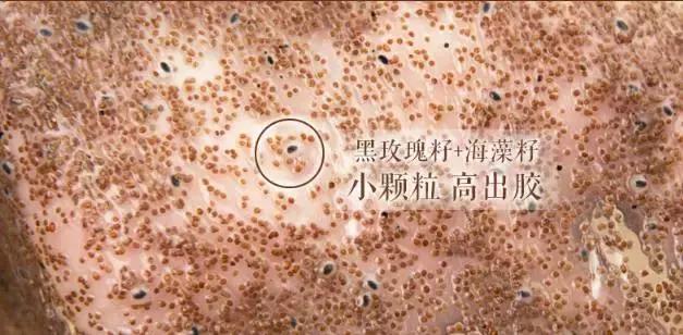 各个美妆博主推荐的国货,被点名表扬的国货到底有多良心