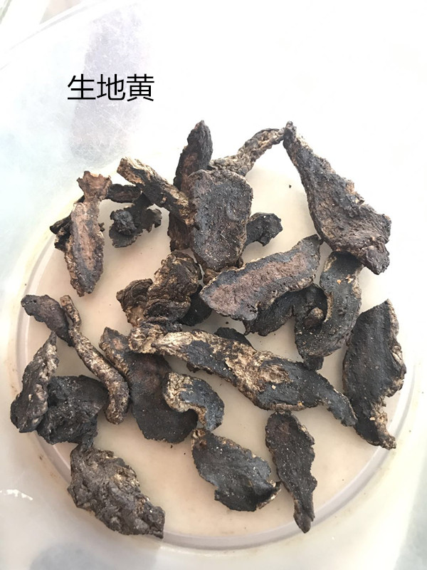 常用滋补中药地黄,药材故事地黄