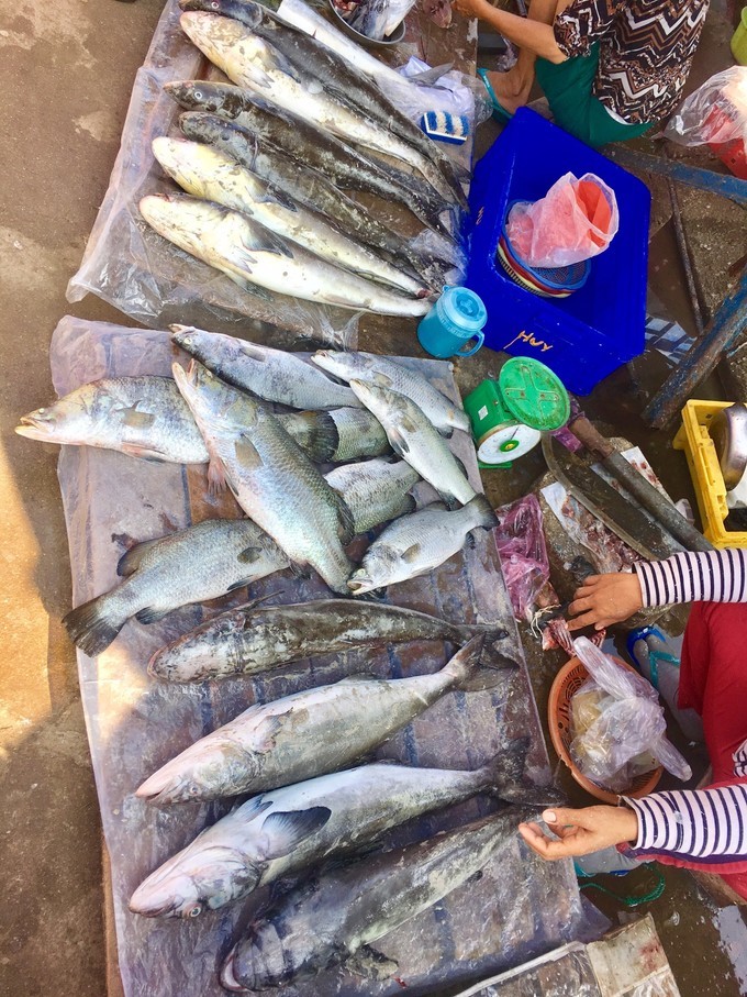 一个人越南攻略,一个人越南自驾游纪录片