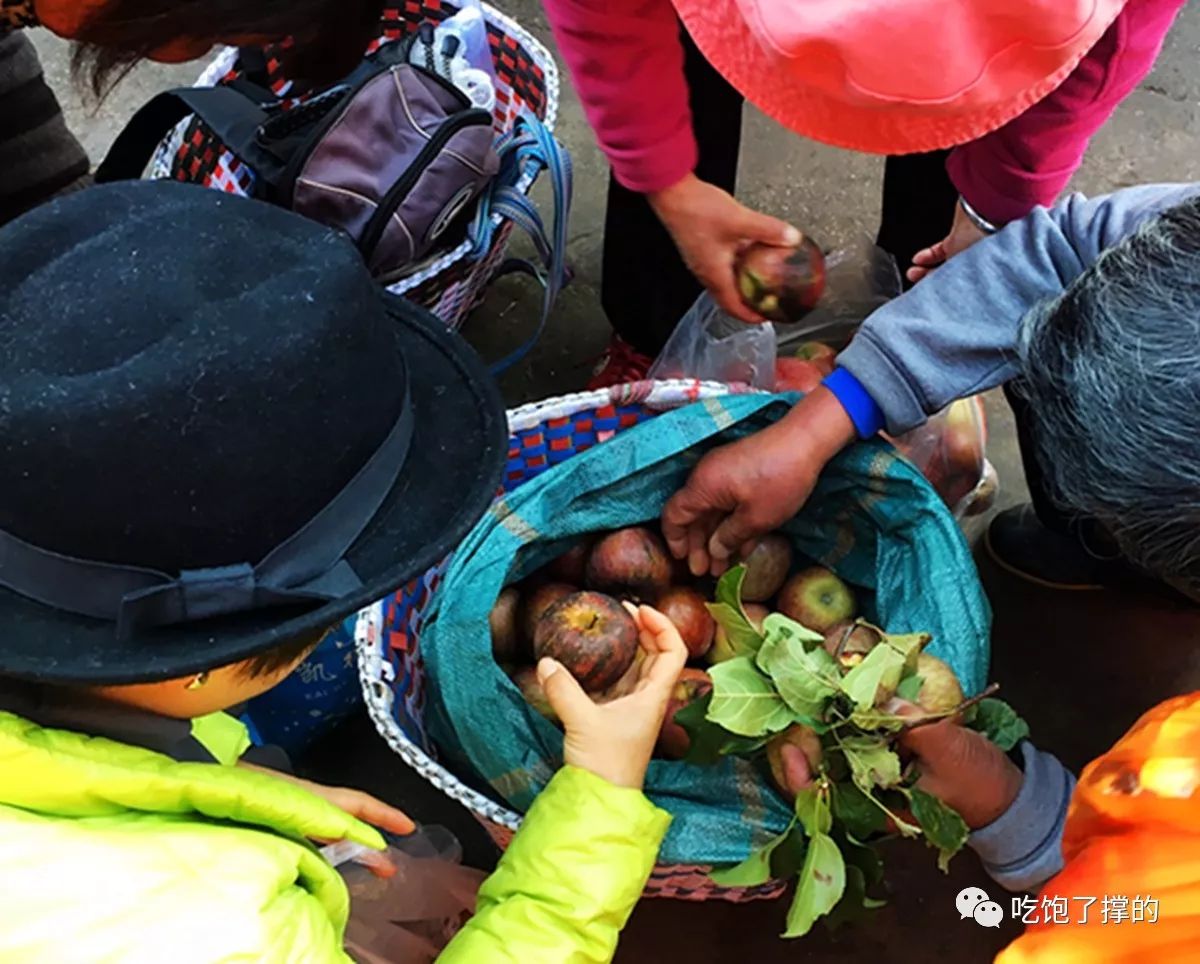 各种烤火龙果干,奶香傣家芒果干