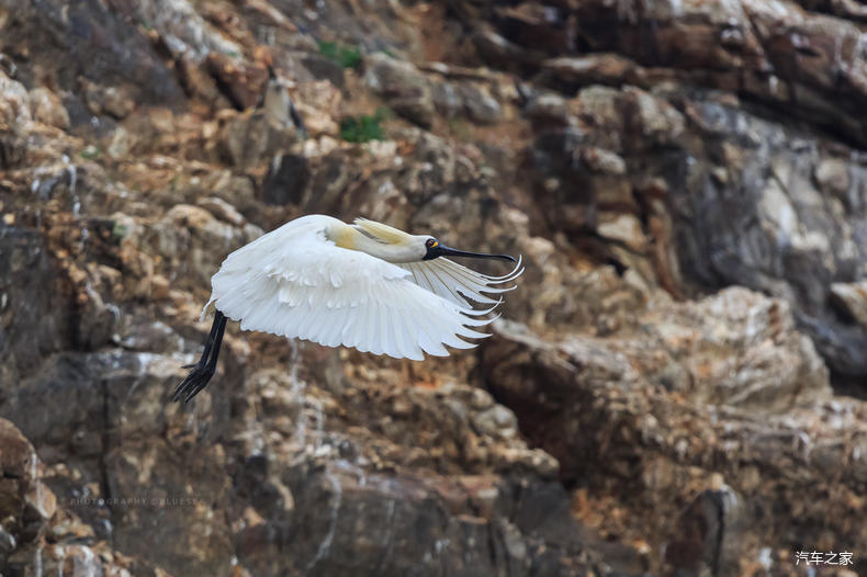 家乡之美美篇,家乡之美原唱完整版