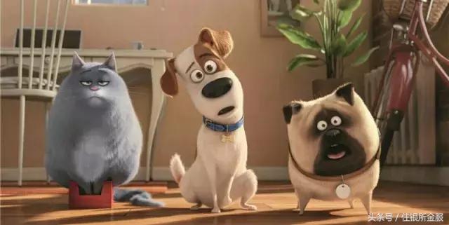 什么样的金叫狗头金,狗头金名字由来