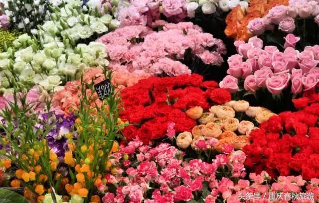 适合送同事的伴手礼,给办公室同事买什么礼物最有意义