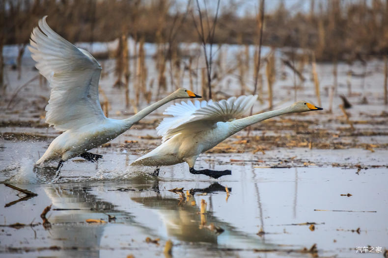 家乡之美美篇,家乡之美原唱完整版
