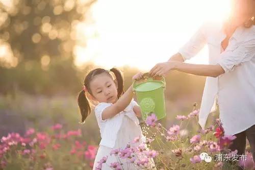 上海浦东新区周末免费遛娃好去处,浦东周末遛娃好去处