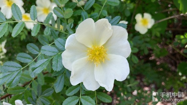 lgg5处理器好用吗,LGg5参数