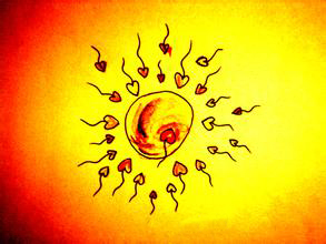 精卵结合不分裂的原因,精卵结合不分裂怎么回事