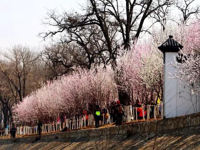 从你的视角出发,寻找天大代言人