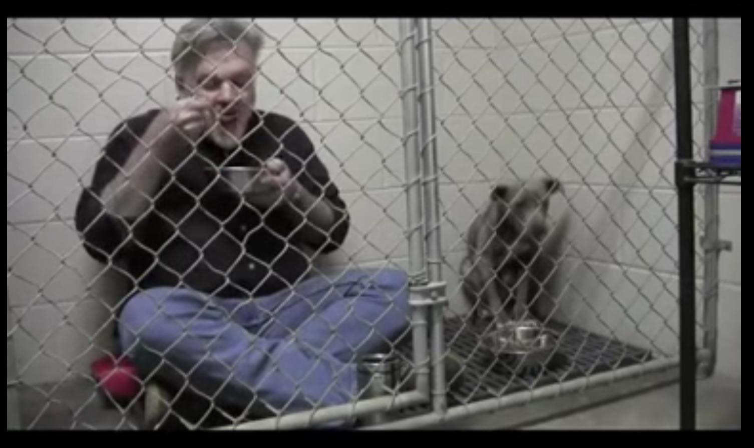 他们想这只狗一定恨透人类，但这名兽医进入狗笼后，证明了一件事