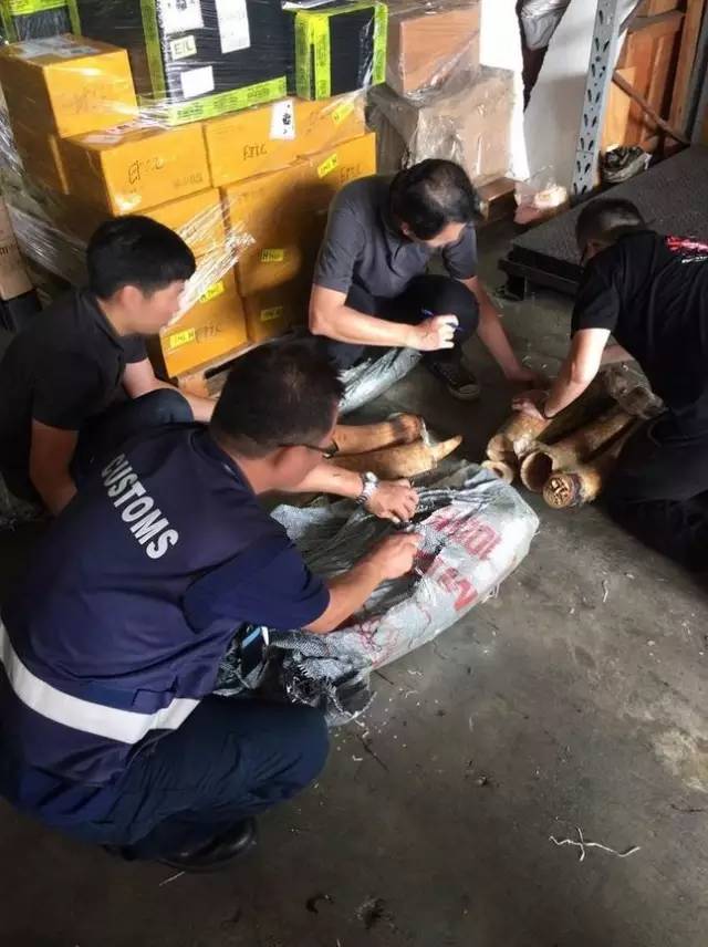 新加坡被骗8000元坐牢吗,奢侈品代购判刑案例