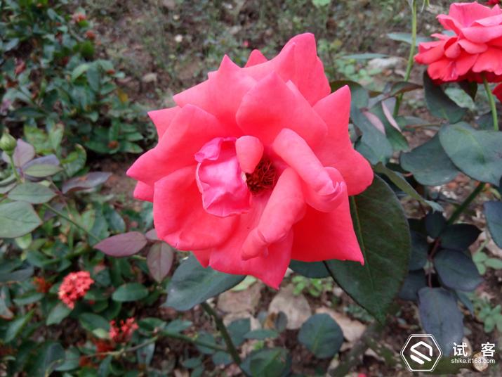 360手机f4s评测,360手机f4质量怎么样