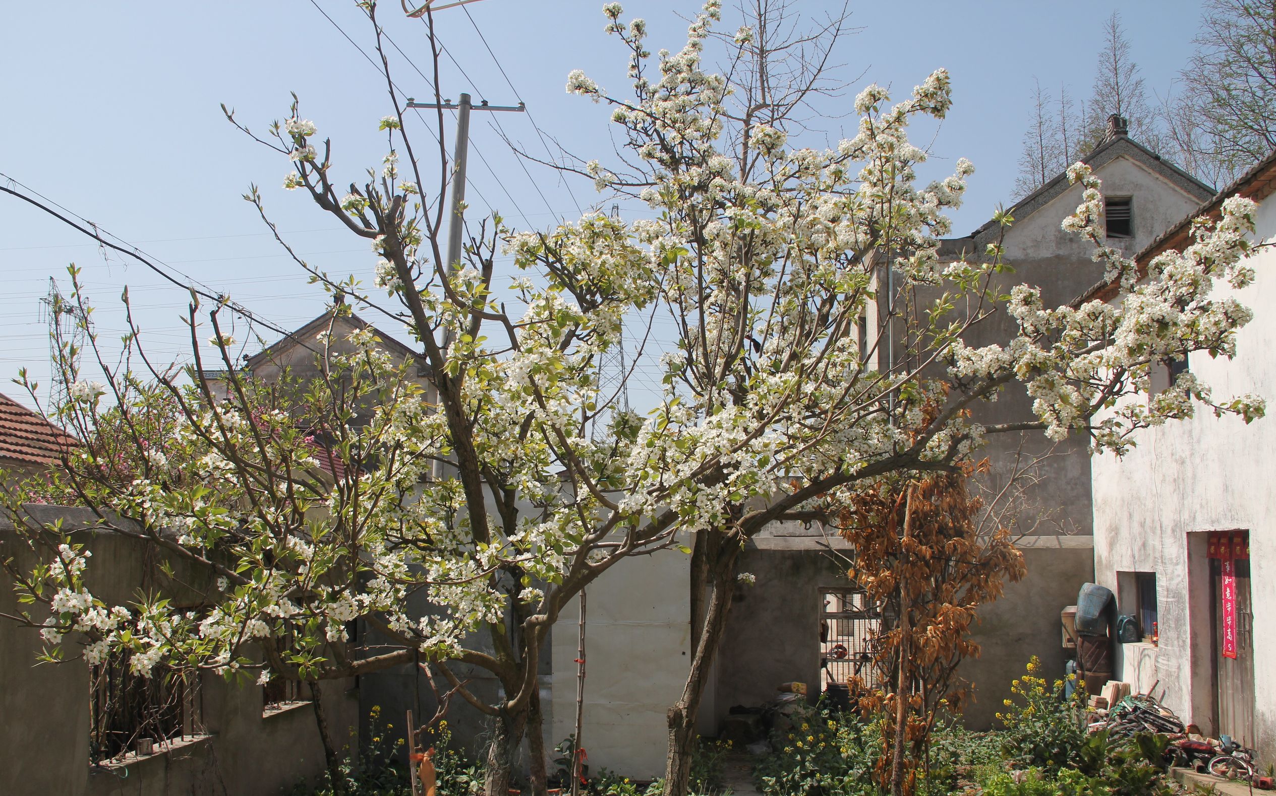 三星s7对比5s,三星s7e和note7