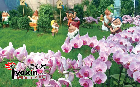 五一劳动节吃喝玩乐,五一吃喝玩乐活动策划