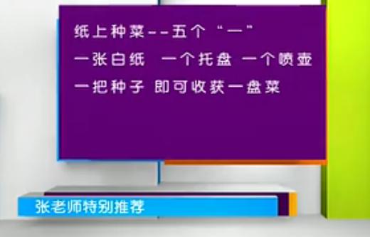 最新纸上适合家庭种菜的方法,纸上种菜方法