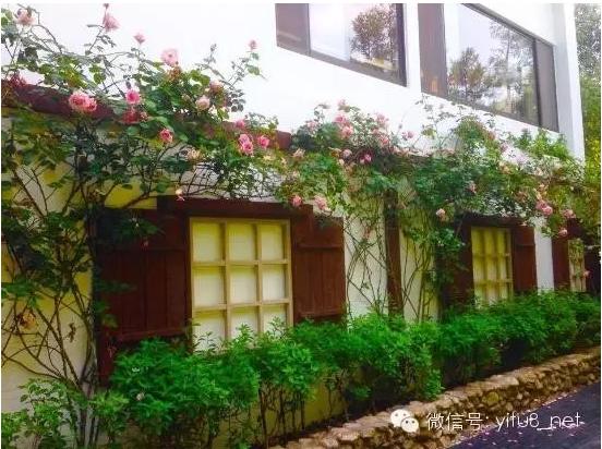 台湾环岛旅游酒店,知识旅行