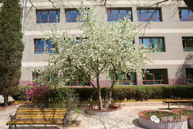 包钢三中真的要改名吗,包钢三中整体成绩怎么样