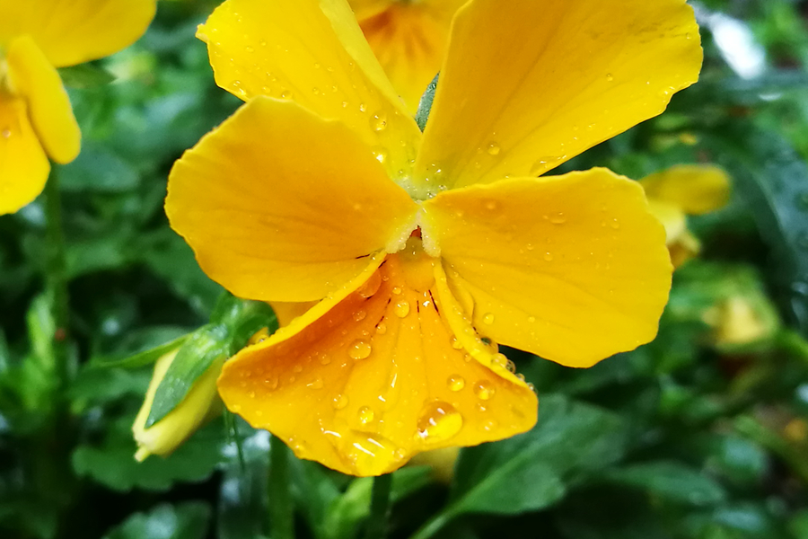 紧急提醒这类微信红包别抢,重要提醒这六种微信红包别抢