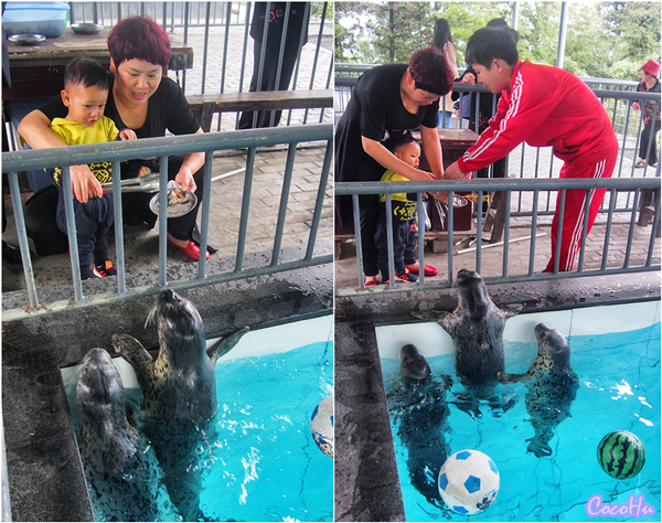 中南百草动物园,中南百草园萌宠乐园