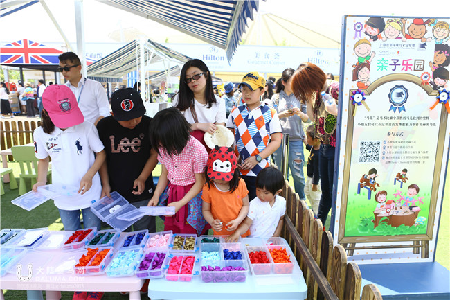 林志玲马术2019,林志玲环球马术比赛视频