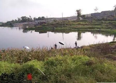 最新重庆周边钓鱼地点推荐,重庆免费钓鱼的最佳地点