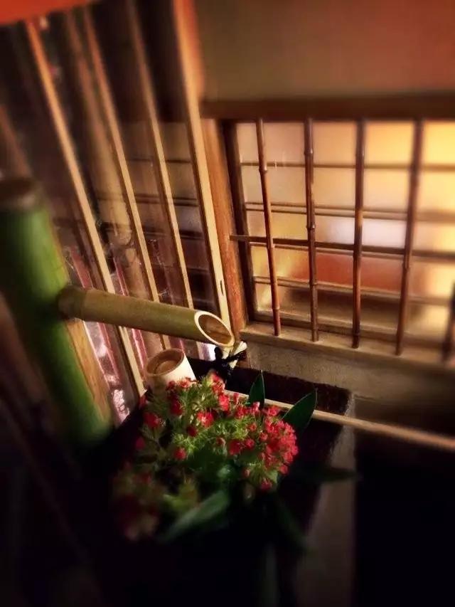 曼莉专栏｜葡萄*妞小**随妈游日本