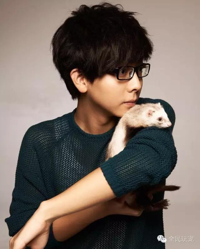 养一只貂的成本,家里可以养貂吗